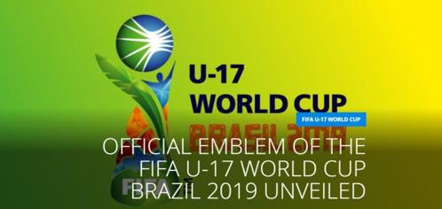 ワールドカップ開催地2019の魅力をご紹介！