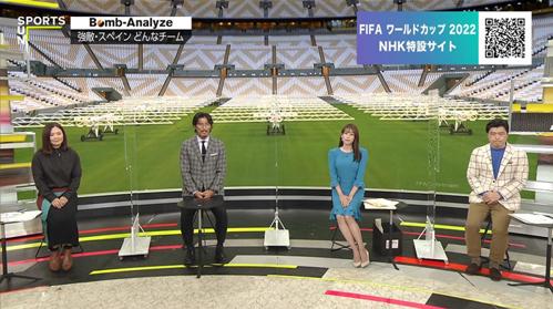NHKのワールドカップ：世界の舞台で燃えるサッカーの祭典